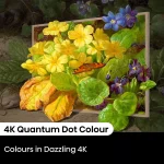 Hisense 65 Inch QLED Canvas 4K Smart TV S7N - Image 6